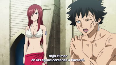 Ver Fairy Tail Temporada Final - Capítulo 287