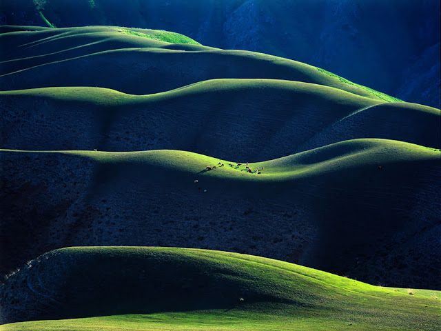 نقره لعرض الصورة في صفحة مستقلة