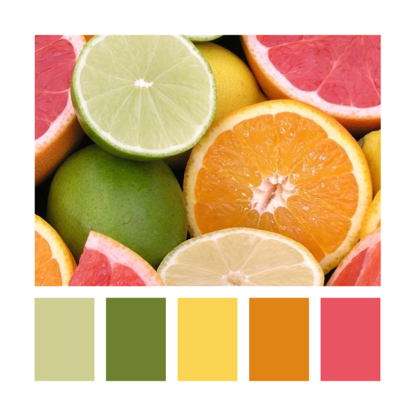 Colour Palettes Citrus My Party Design Blog