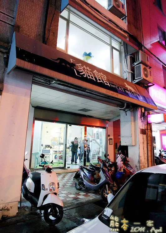 貓館|台北待認養貓。貓住宿。貓旅館