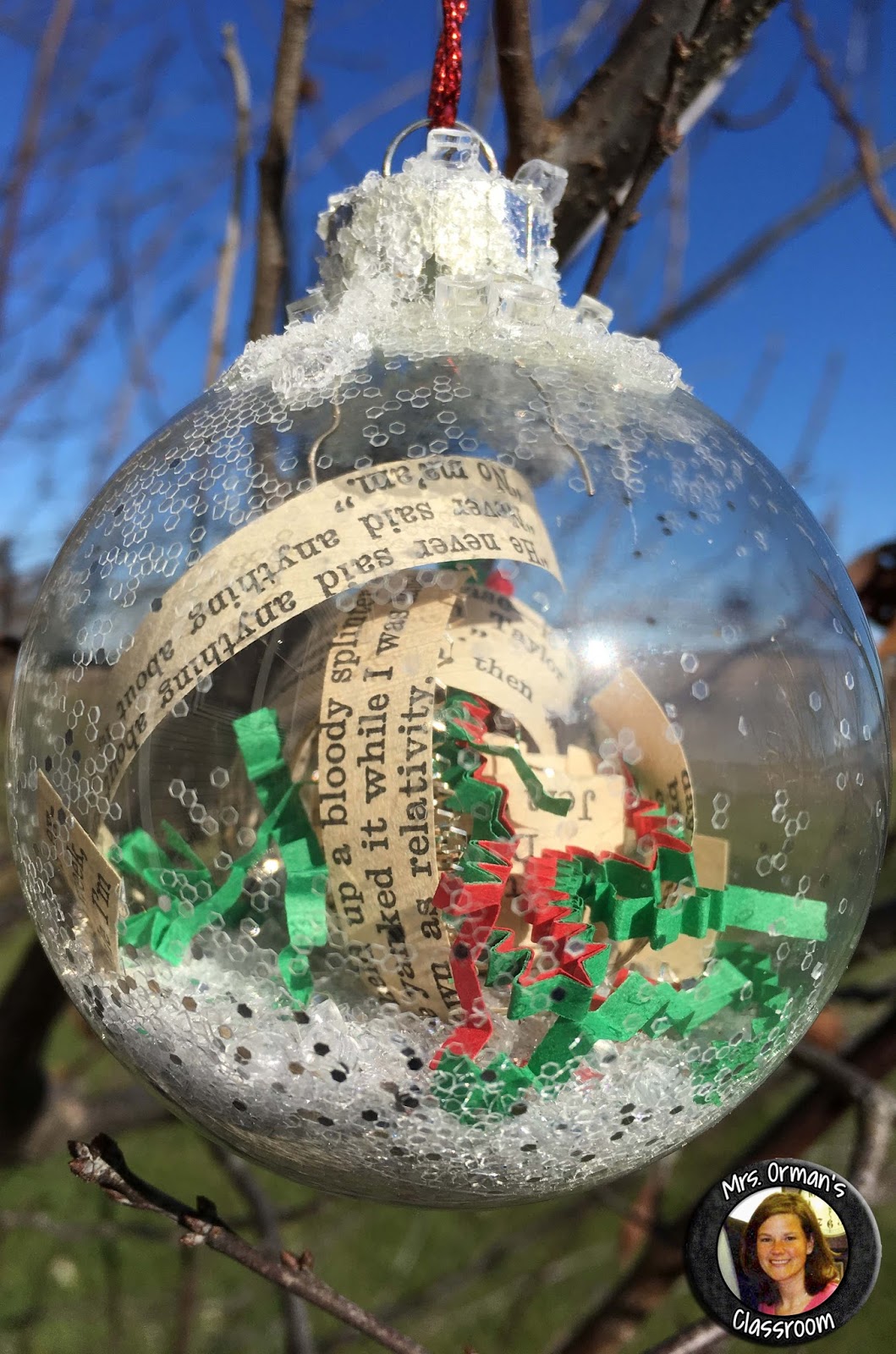 Mrs. Orman's Classroom Literature Inspired Ornaments