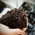 Vermi technology -  Material for vermicomposting - Advantages of vermicompost