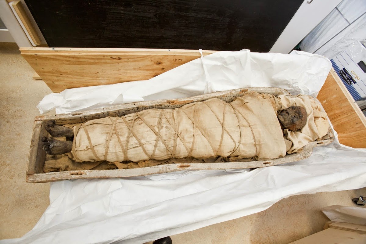 CT scans reveal plaques beneath mummy’s wrappings