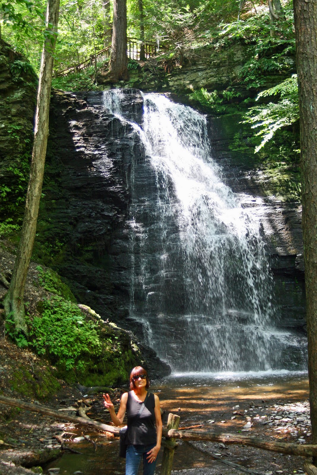 Goan's On Pennsylvania waterfalls
