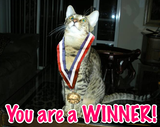 [Image: Cat-winner.jpg]