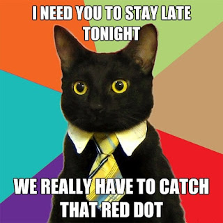 Cat Memes Photos Cat Memes Photos