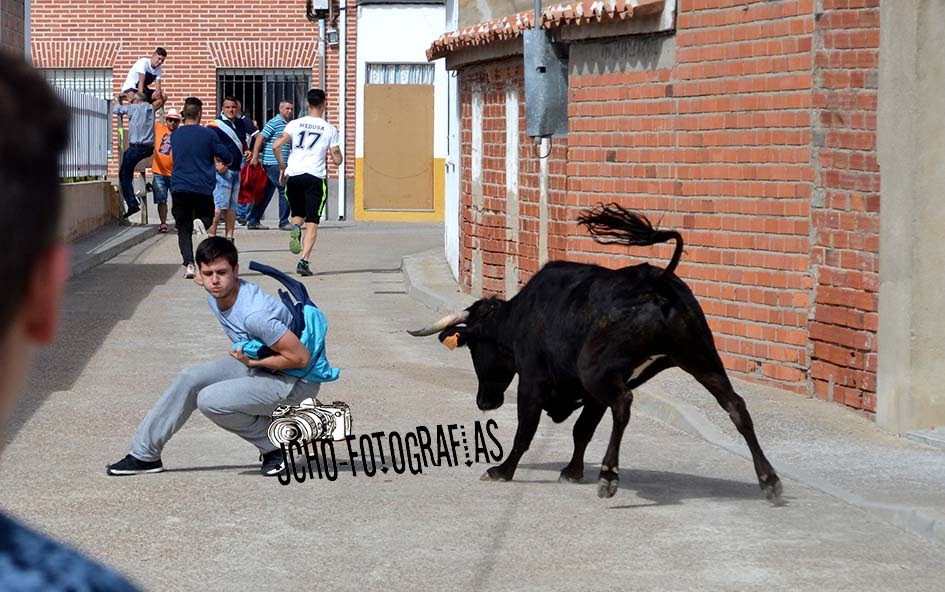 JuanchoFOTOGRAFIAS LOMOVIEJO 2017