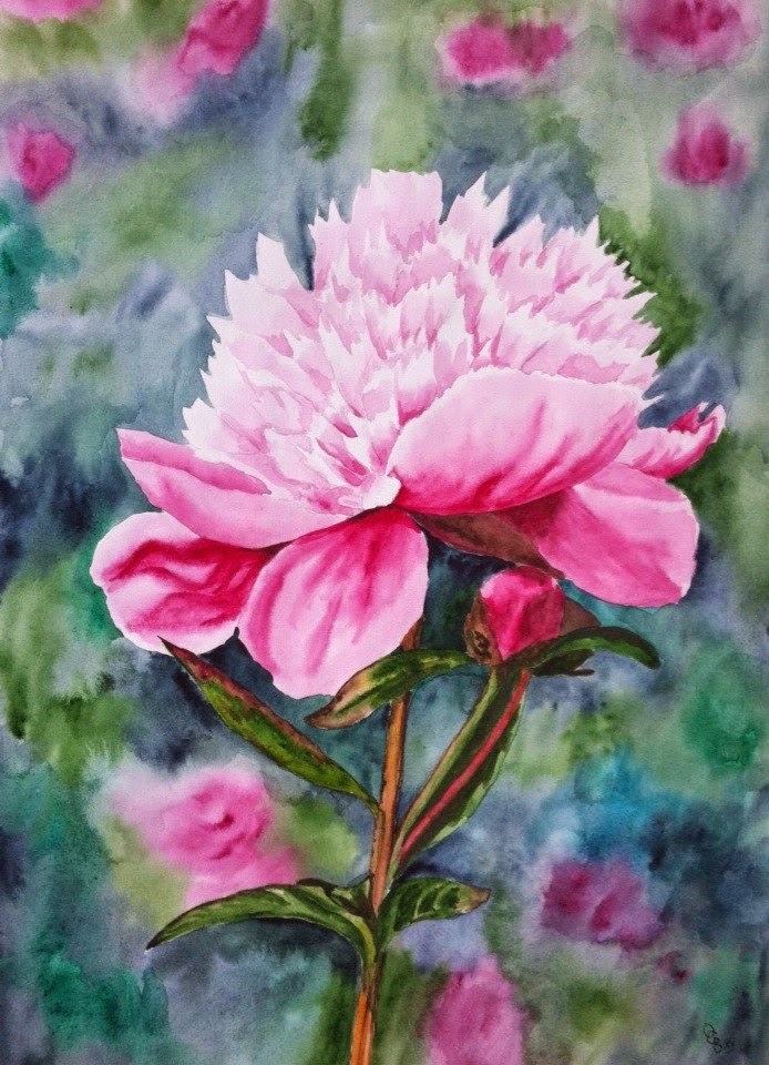 Как рисовать пионы гуашью поэтапно для начинающих