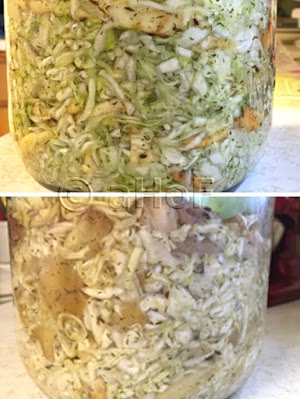 sauerkraut, making sauerkraut, fermenting