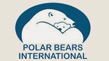 Polar Bears International
