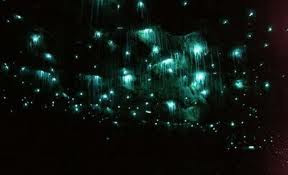 Waitomo Glow-Worm Caves (Otorohanga, Selandia Baru)