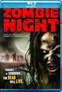 Download Zombie Night 2013 720p BluRay x264 - YIFY