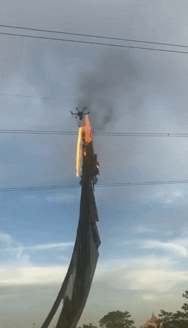 daily_gifdump_2842_18.gif