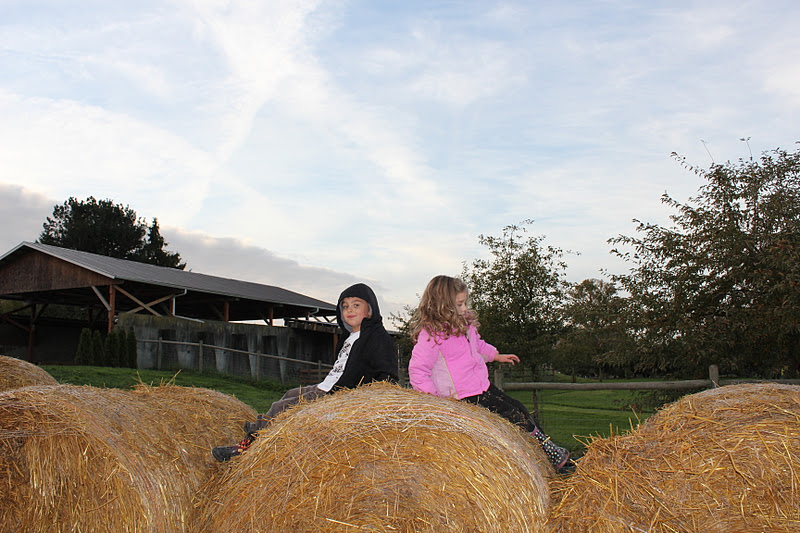 The Bonham Blog The Farm