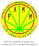 VIDEO DEL PAMM