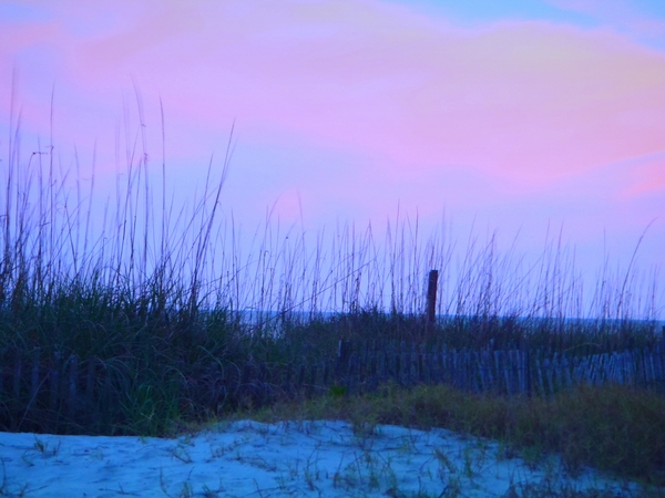 Hunting Island State Park Beach, South Carolina photo by DearMissMermaid.Com