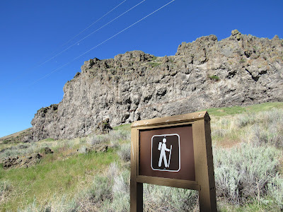 Klamath Basin National Wildlife Refuges California birding hotspot