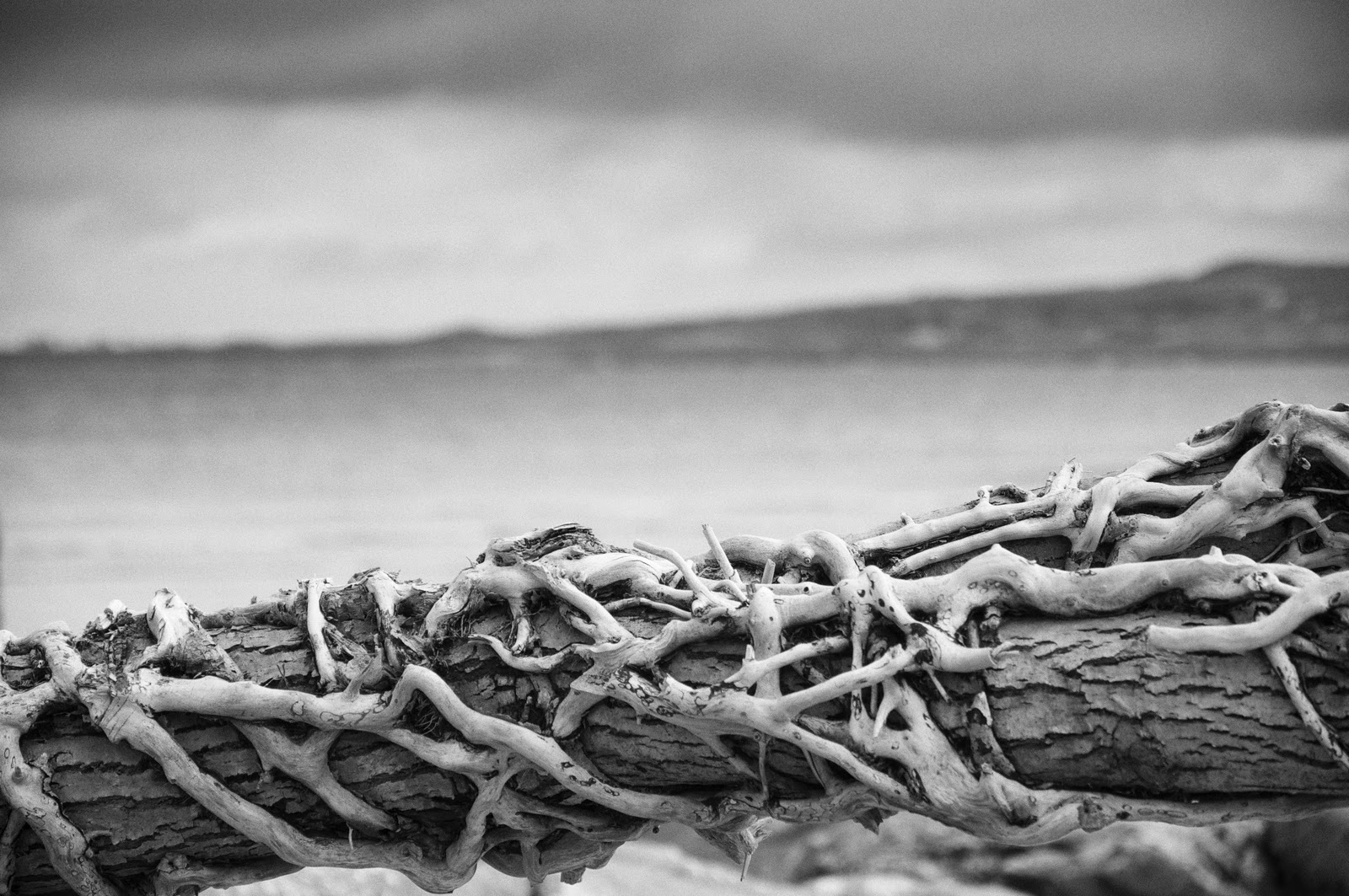 Film Grain Photography Introduction to my blog...