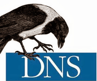 Setting DNS Server Centos 6.4