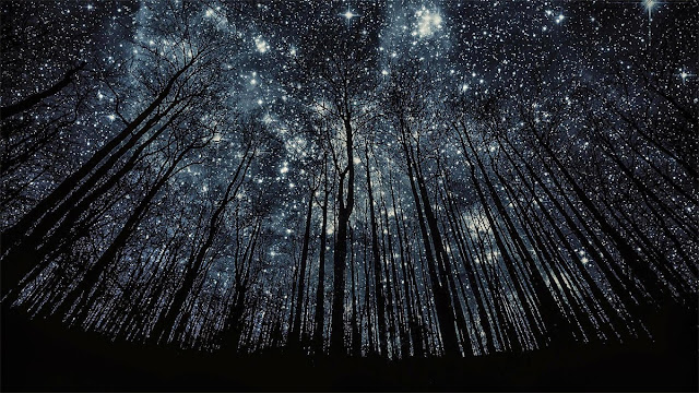 céu cheio de estrelas