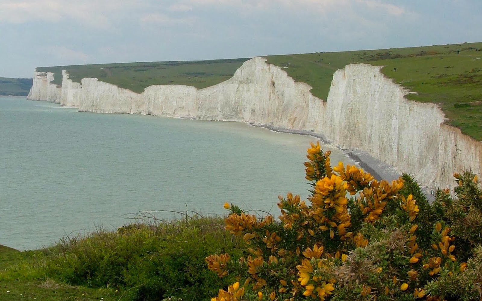 download savage worlds: