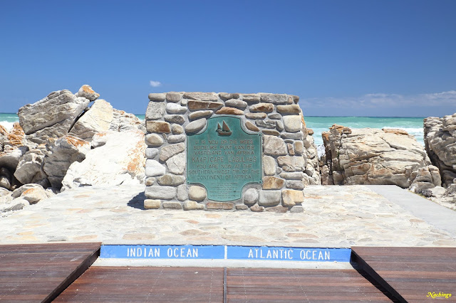 23-11-18. Tiburón blanco, Cabo de las Agujas y Robertson. - Ciudad del Cabo y Garden Route (6)