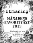 Utmaning av Anna Vattenkanna