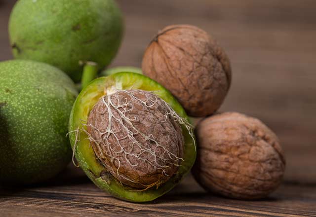 Yesil Kahverengi Ceviz Kabugunun Ve Ceviz Yapraginin Saca Faydalari