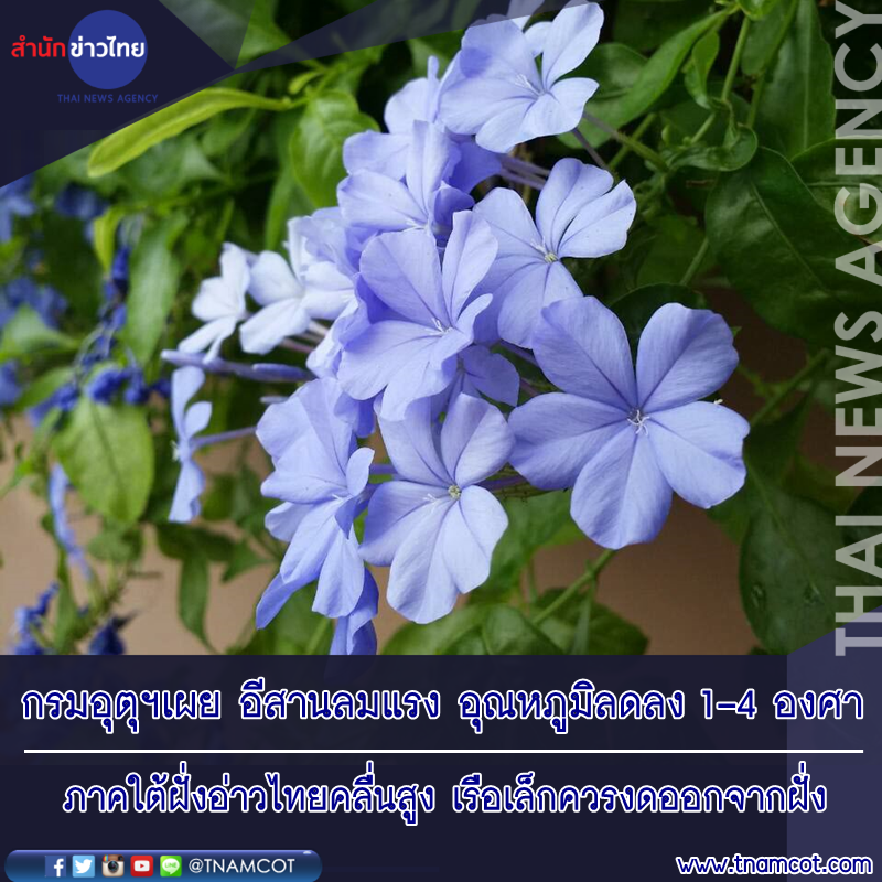 My Image 10