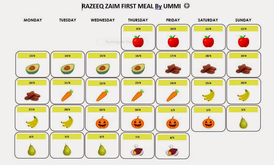 Jadual Makanan Untuk Bayi 6 Bulan Pertama