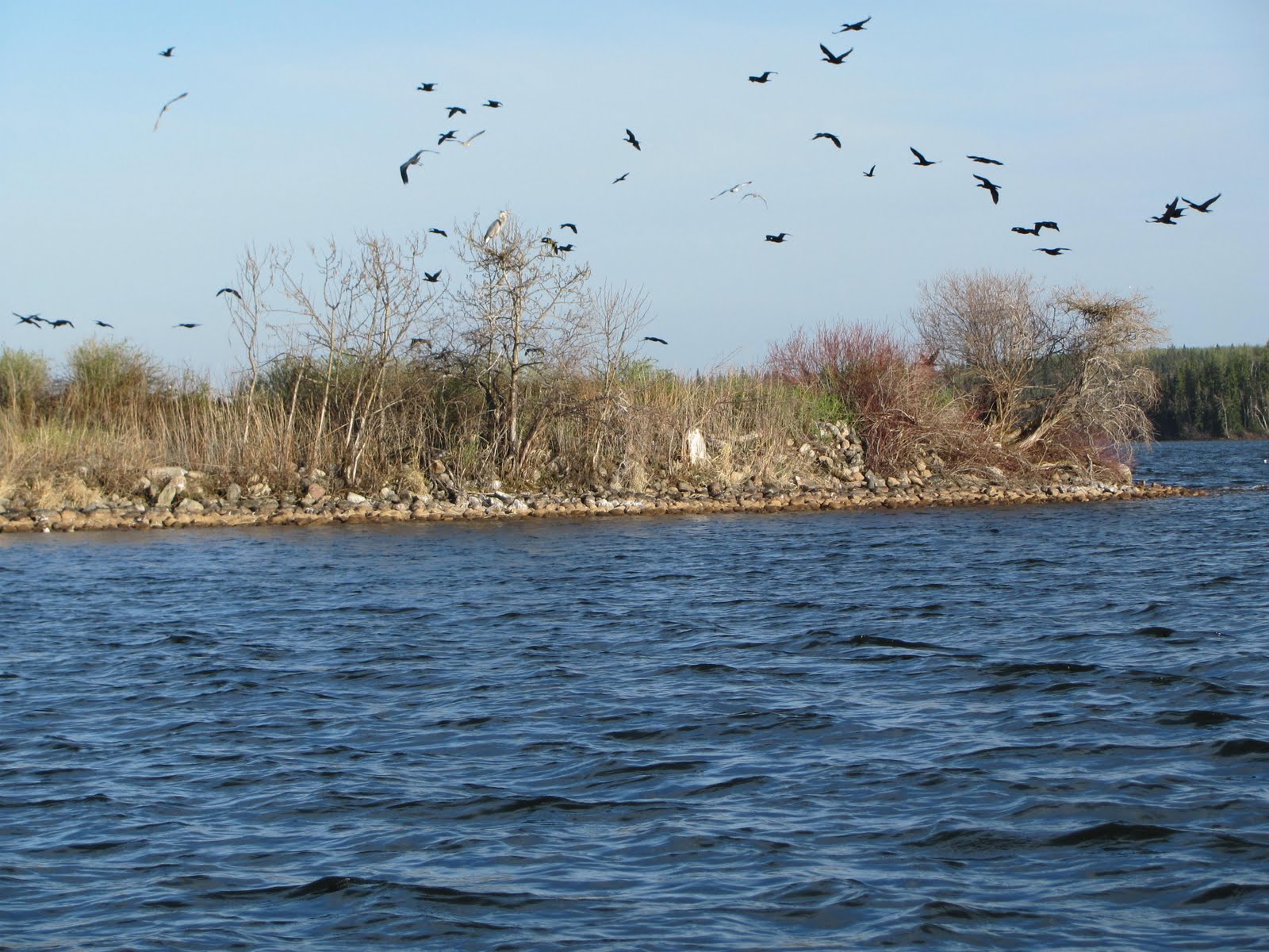 News of the Week First tour of Winefred Lake, May 17