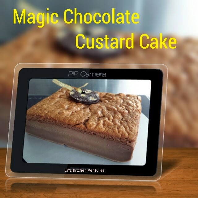 http://lykitchenventure.blogspot.sg/2014/06/magic-chocolate-custard-cake.html