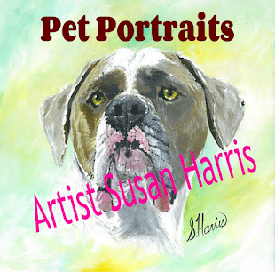 Pet Portraits By Artist Susan Harris