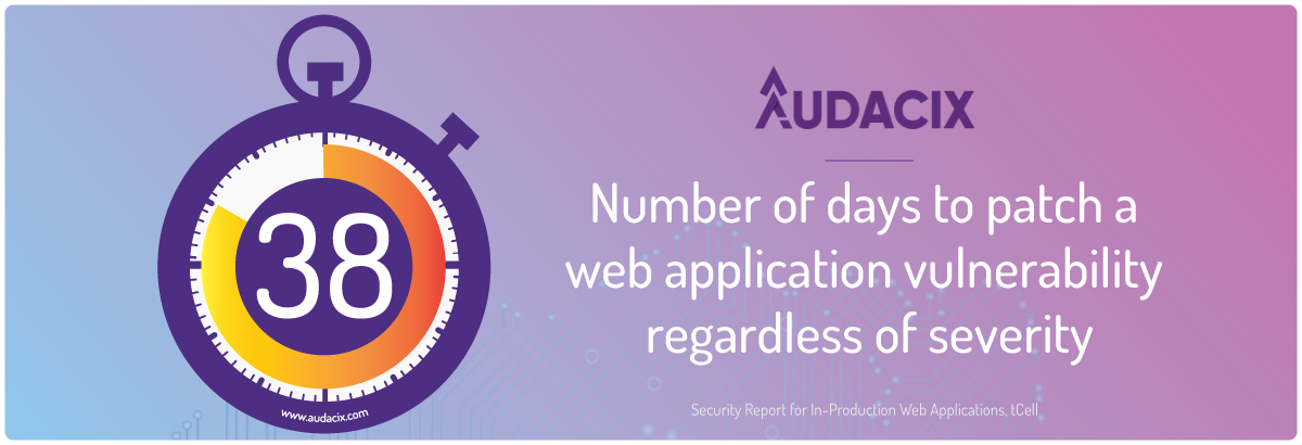 Find cybersecurity vulnerability in web apps