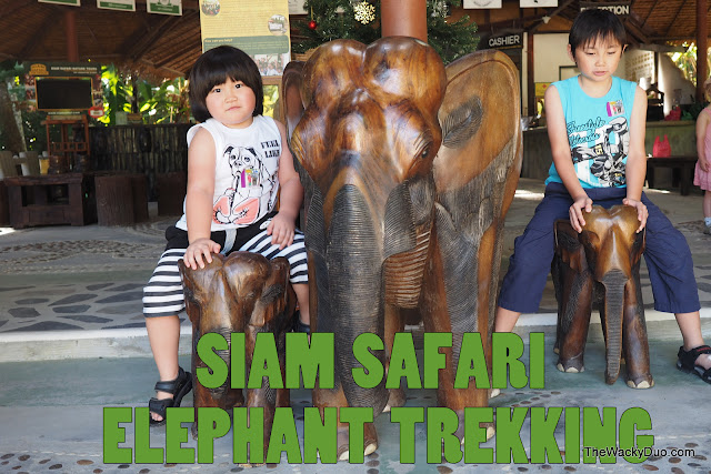 Wacky Phuket : Siam Safari 4 in 1 Elephant Trekking 