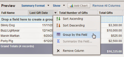 Report grouping in salesforce.com Report grouping in salesforce.com