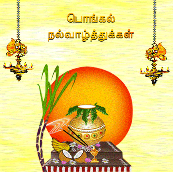 clip art pongal images - photo #40