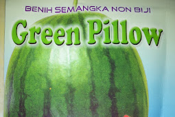 LMGA AGRO GROSIR BELANJA ONLINE PRODUK
PERTANIANBENIH,BIBIT,PUPUK,PESTISIDAHARGA MURAH