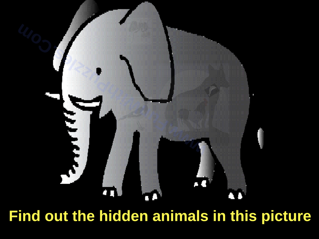 Hidden Animals Picture Puzzle