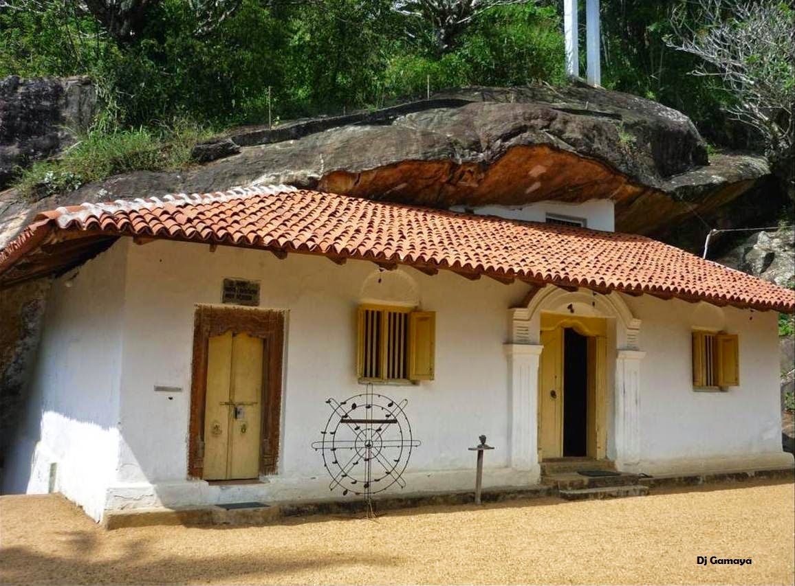Picture5.jpg