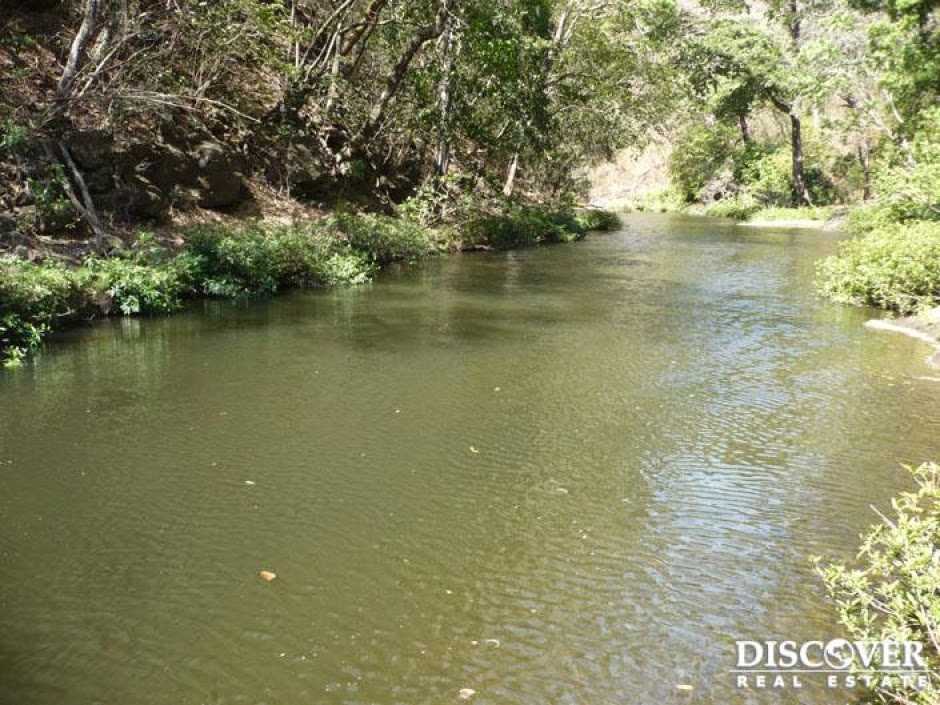 Nicaragua Farms for Sale Nicaragua Land for Sale Livestock farm for