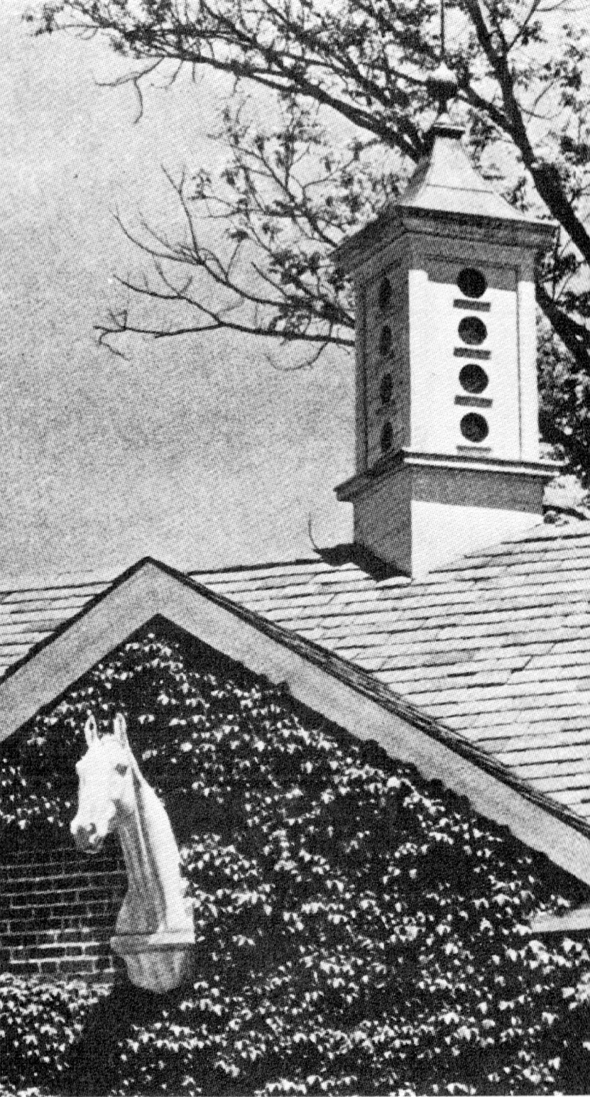 Half Pudding Half Sauce The Stables at "Vernon Manor"