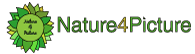 Nature4Picture
