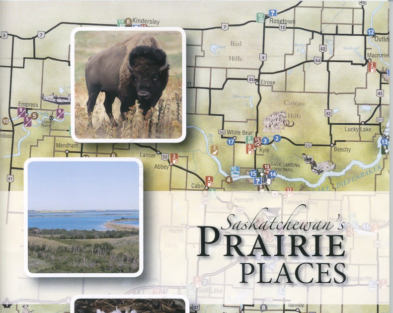 EcoFriendly Sask: Native Plant Society of Saskatchewan