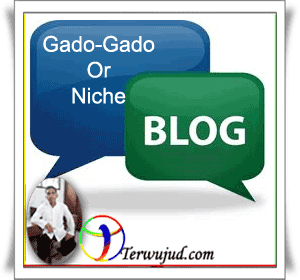 Niche-Blog