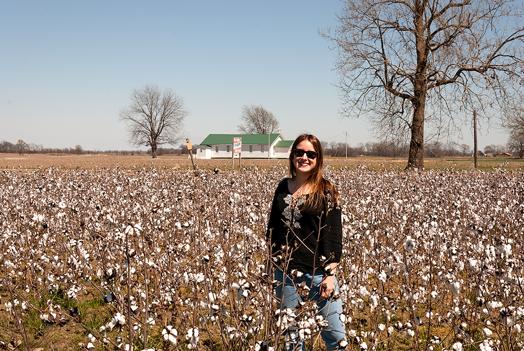 Namasté Cotton plantation