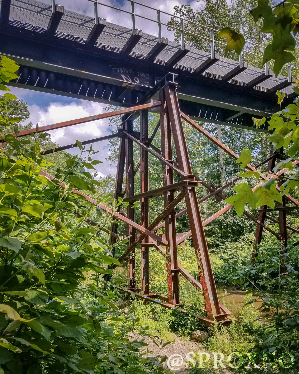 Woods of Wenonah Trail Pushing Myself