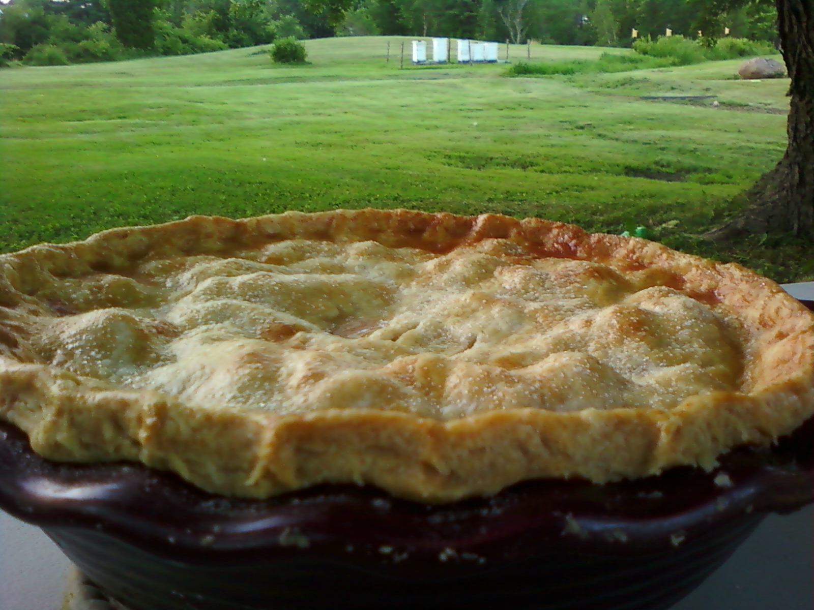 Grand View Farm Recipes