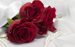 rose wallpapers desktop backgrounds roses background romantic valentine flowers rosas heart czerwone watching