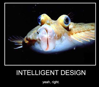 intelligent-design.jpg